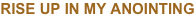 shapeimage_3_link_2