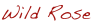 shapeimage_4_link_22