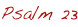 shapeimage_4_link_53