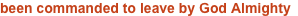 shapeimage_2_link_2