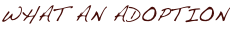 shapeimage_4_link_0